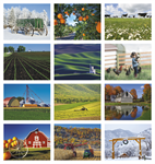 2025 American Agriculture Wall Calendar